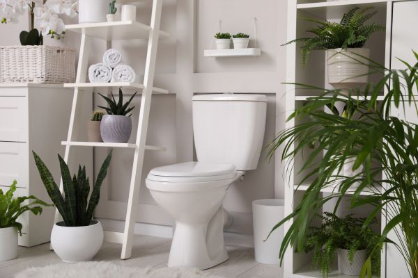 Cost of Toilet Repair in Fort Lauderdale