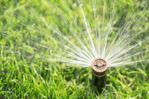 Cost of Spigot Installation in Fort Lauderdale