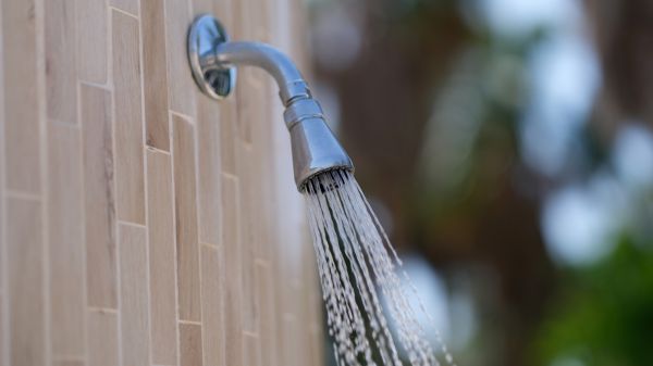 Cost of Showerhead Repair in Fort Lauderdale