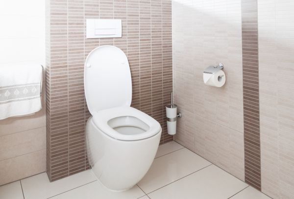 Cost of Toilet Plumbing Installation in Fort Lauderdale